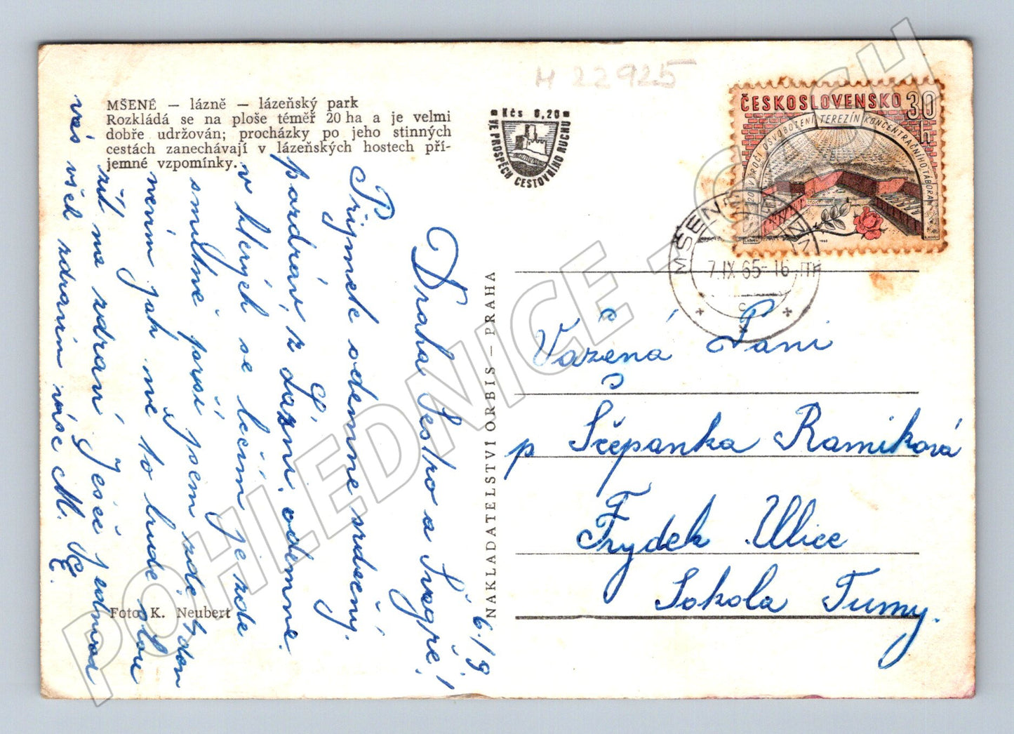 Pohlednice Mšené lázně lázeňský park 1955 (M22925)