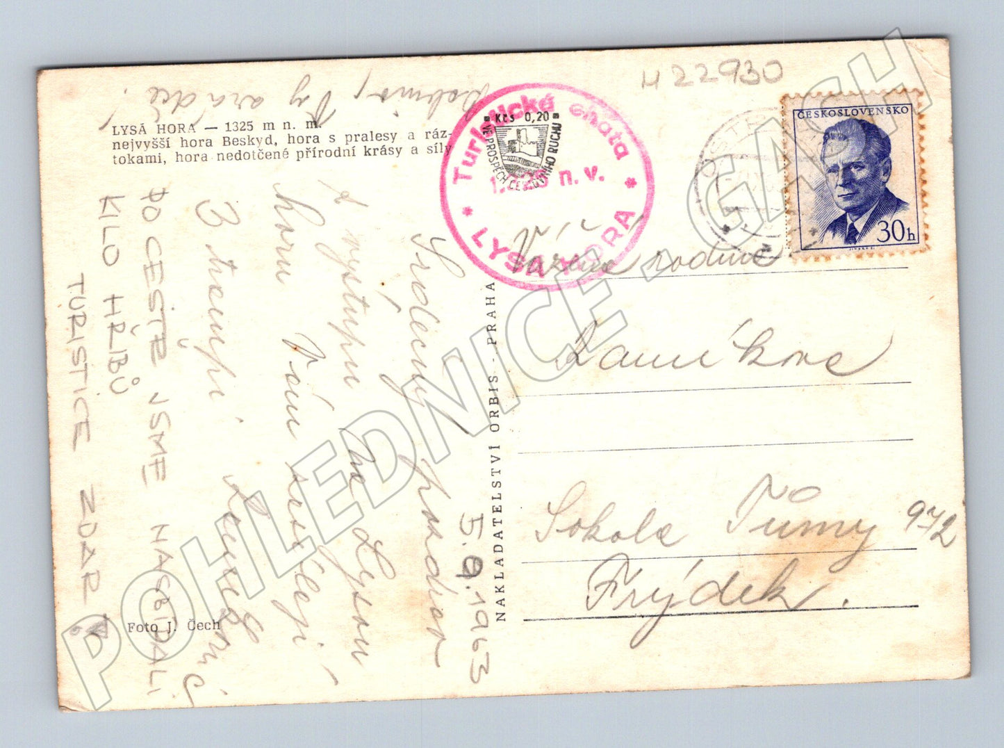 Pohlednice Lysá Hora ovce pastva 1963 (M22930)