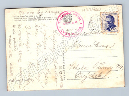 Pohlednice Lysá Hora ovce pastva 1963 (M22930)