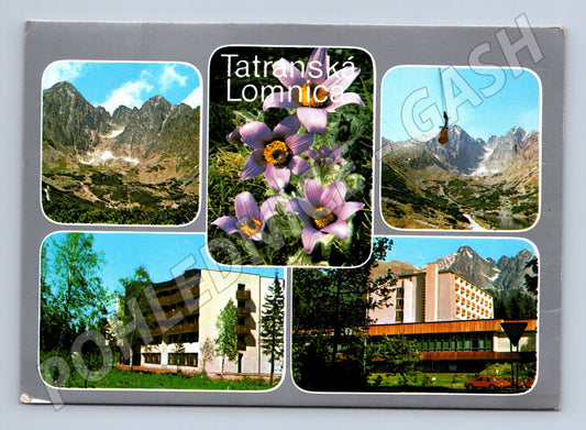 Pohlednice Slovensko Tatranská Lomnica lanovka budovy 1960s (M23091)