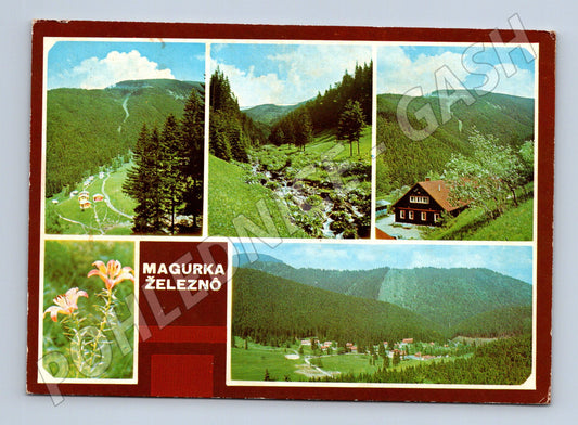 Pohlednice Slovensko Magurka Železná Nízke Tatry (M23101)