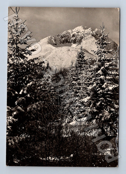 Pohlednice Slovensko Vysoké Tatry Stalinov štít 1960 (M23135)