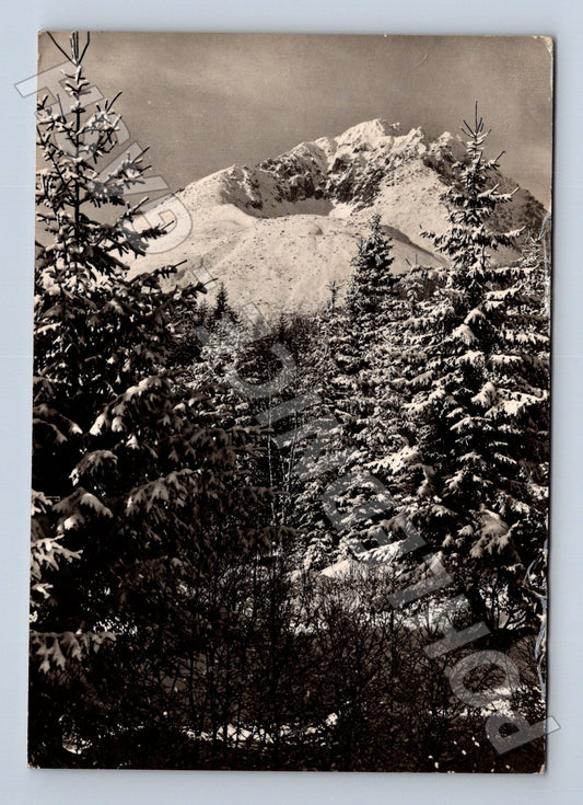 Pohlednice Slovensko Vysoké Tatry Stalinov štít 1960 (M23135)