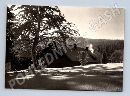Pohlednice Slovensko zimní krajina 1940 (M23163)