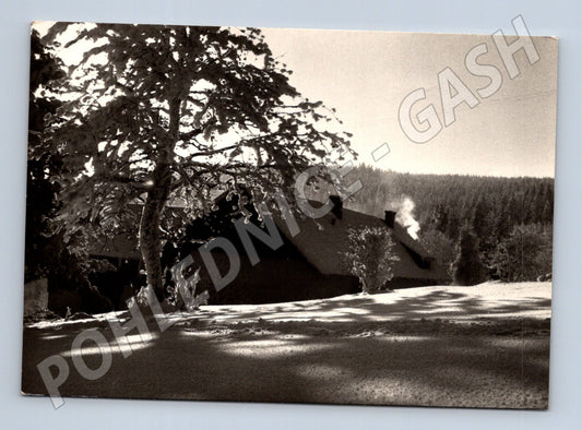 Pohlednice Slovensko zimní krajina 1940 (M23163)