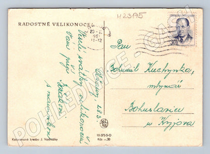 Pohlednice Velikonoce dítě husa káčata okolo 1930 (M23175)