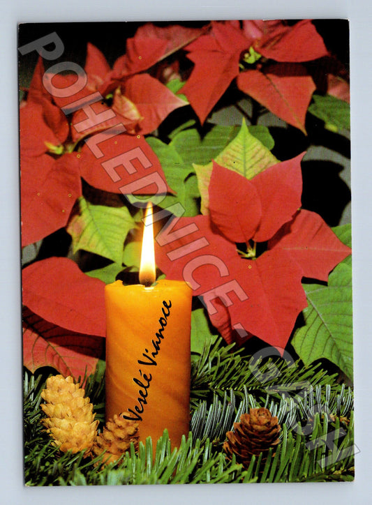 Pohlednice Vánoce svíčka poinsettie 1995 (M23214)