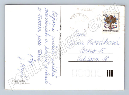Pohlednice Vánoční novoroční svíčka jablko (M23251)