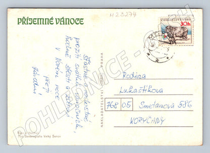 Pohlednice Vánoční svíčky a jehličí 197x (M23274)