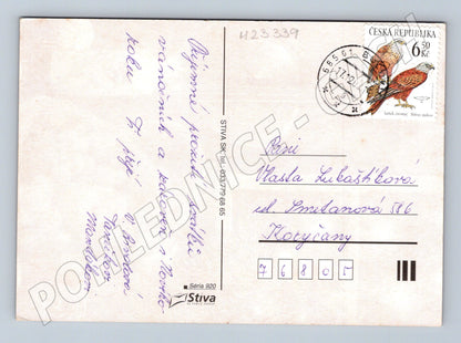 Pohlednice vánoční motiv housle ovoce 2003 (M23339)