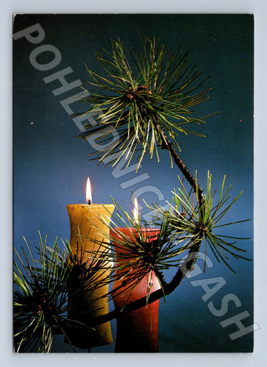Pohlednice Vánoční motiv svíčky a jehličí 1987 (M23380)