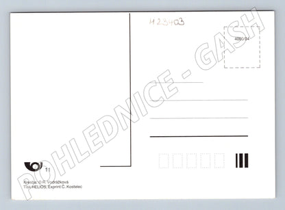 Pohlednice Vánoční motiv zimní chalupa a vánoční hvězda (M23403)