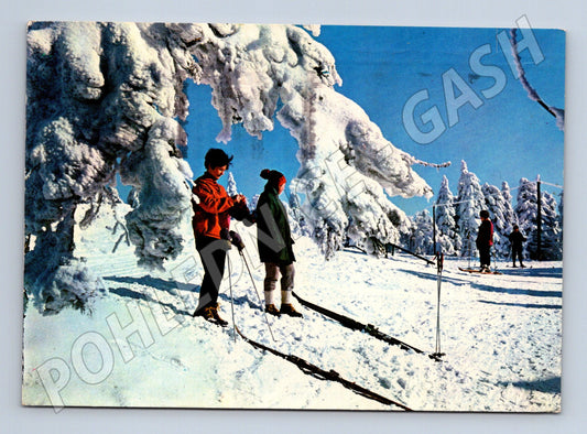 Pohlednice zimní krajina lyžaři zasněžené stromy 1974 (M23427)