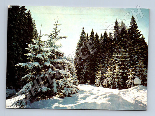Pohlednice Zimní krajina Vánoce 1975 (M23430)