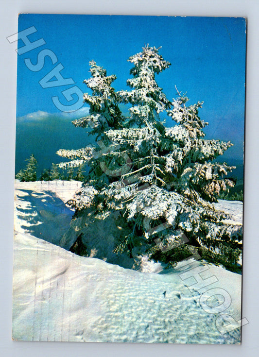 Pohlednice zimní krajina Vánoce 1975 (M23431)