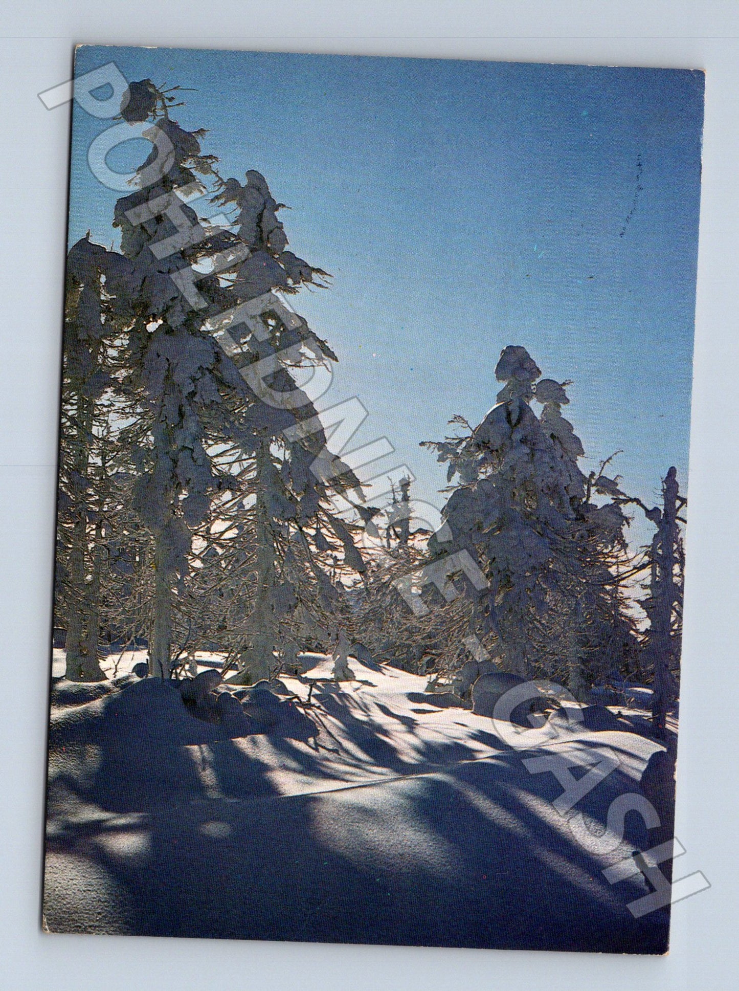 Pohlednice Československo zimní krajina stromy 1990 (M23433)
