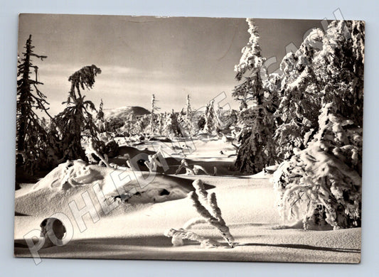 Pohlednice Československo zimní krajina 1969 (M23449)