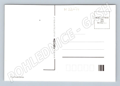 Pohlednice Oříškové placičky recept (M23474)