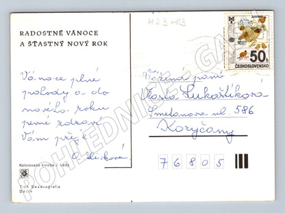 Pohlednice Vánoce zimní vesnice (M23483)