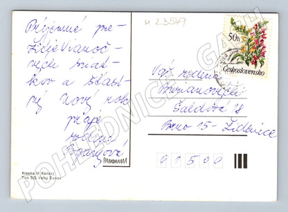 Pohlednice Vánoční s králíky a sněhulákem 197x (M23549)