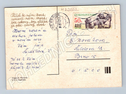 Pohlednice zimní motiv děti bruslení 1981 (M23552)
