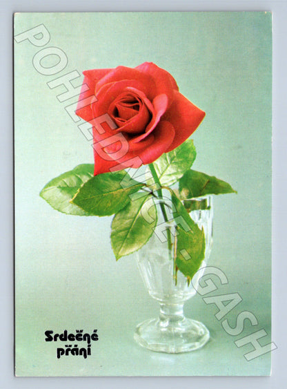 Pohlednice růže Srdečné přání 1983 (M23568)