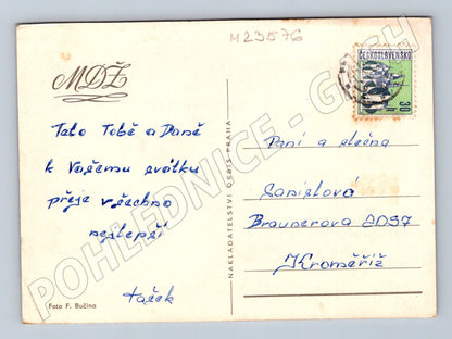 Pohlednice slavnostní motiv karafiáty (M23576)