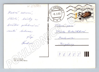 Pohlednice květiny 1993 (M23580)
