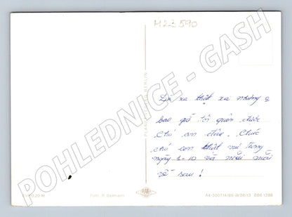 Pohlednice Německo Kytice květin (M23590)