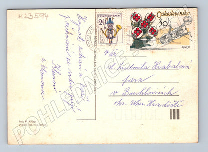 Pohlednice růžová jiřina květina 1974 (M23594)