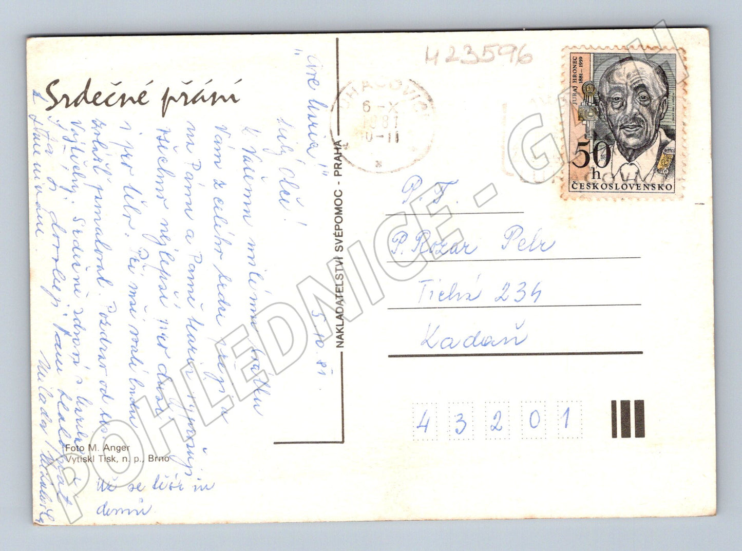 Pohlednice růžová jiřina květina 1991 (M23596)