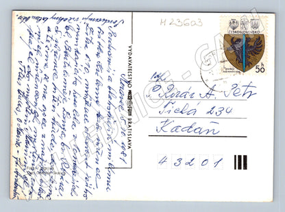 Pohlednice Slovensko žluté růže květiny 1981 (M23603)