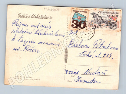 Pohlednice Květiny gerbery 1970 (M23608)