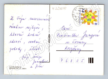 Pohlednice růže květiny (M23618)