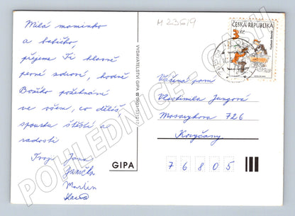 Pohlednice kytice květin (M23619)