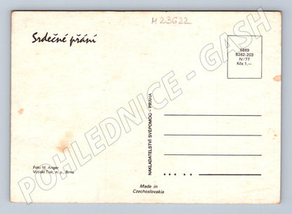 Pohlednice dvě květiny bílá a červená 1977 (M23622)