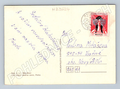 Pohlednice Slovensko Květiny žluté růže 1974 (M23624)