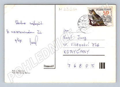 Pohlednice květiny srdečné přání 1980 (M23634)