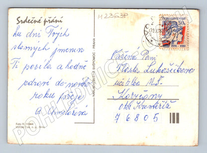 Pohlednice macešky květiny 1979 (M23638)