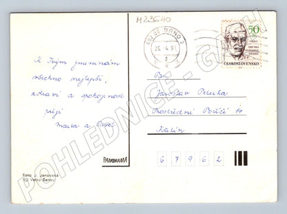 Pohlednice Kytice květin ve váze 1991 (M23640)