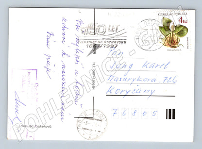 Pohlednice Srdečné blahopřání růže 1997 (M23643)