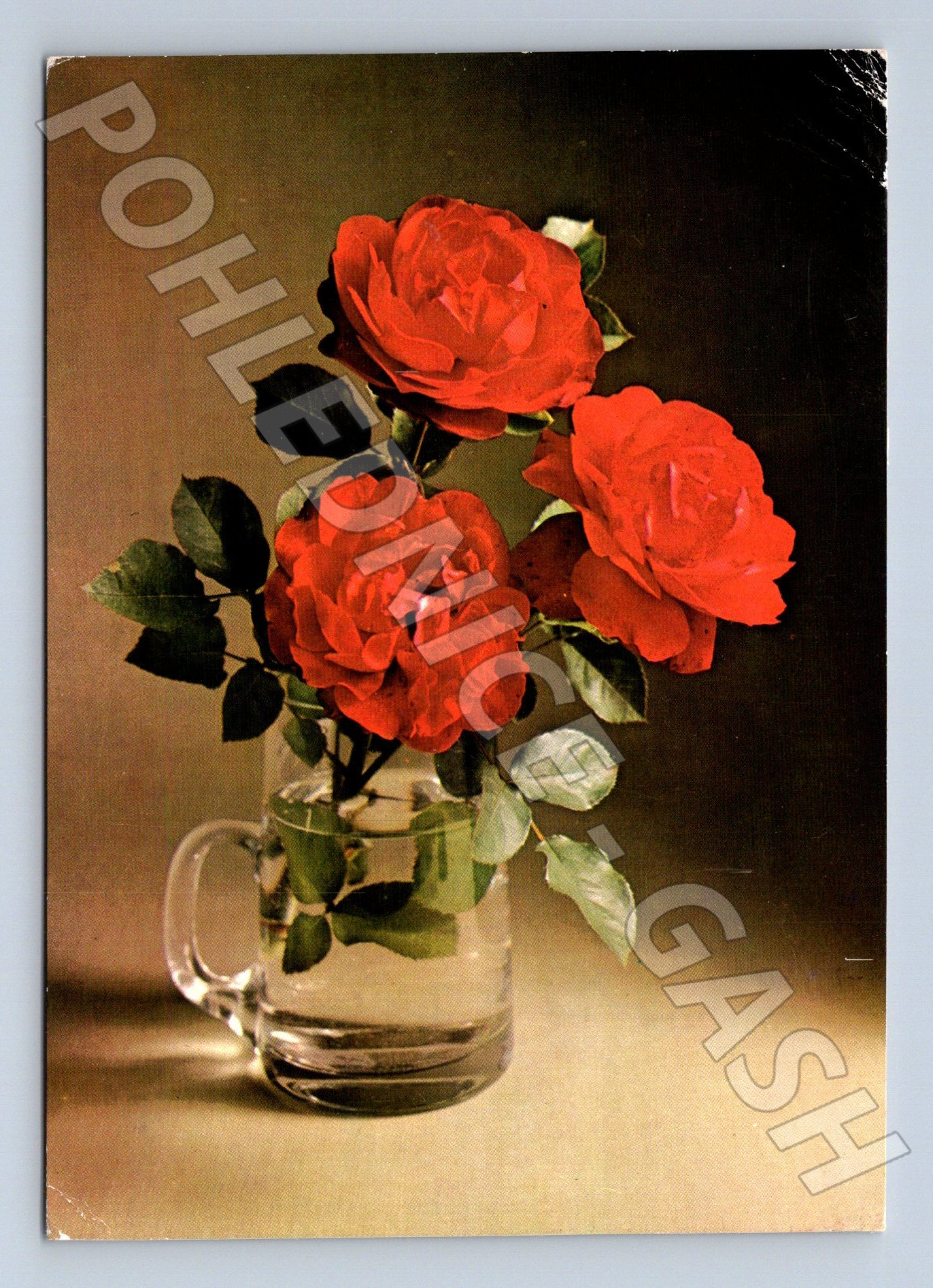 Pohlednice červené růže ve džbánu 1986 (M23644)