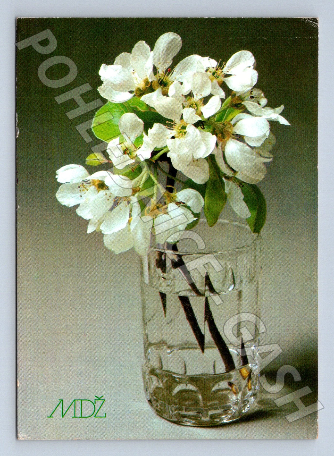 Pohlednice Kvetoucí větvička ve váze 1987 (M23652)