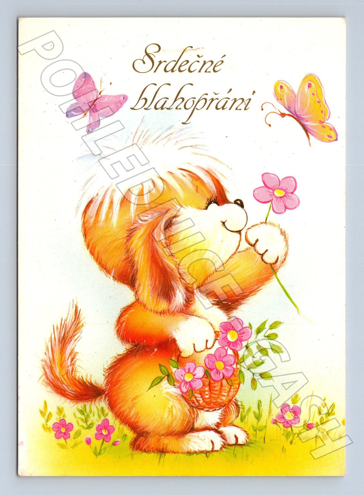 Pohlednice zvíře blahopřání (M23653)