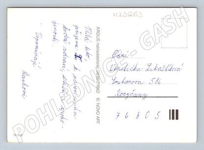 Pohlednice zvíře blahopřání (M23653)