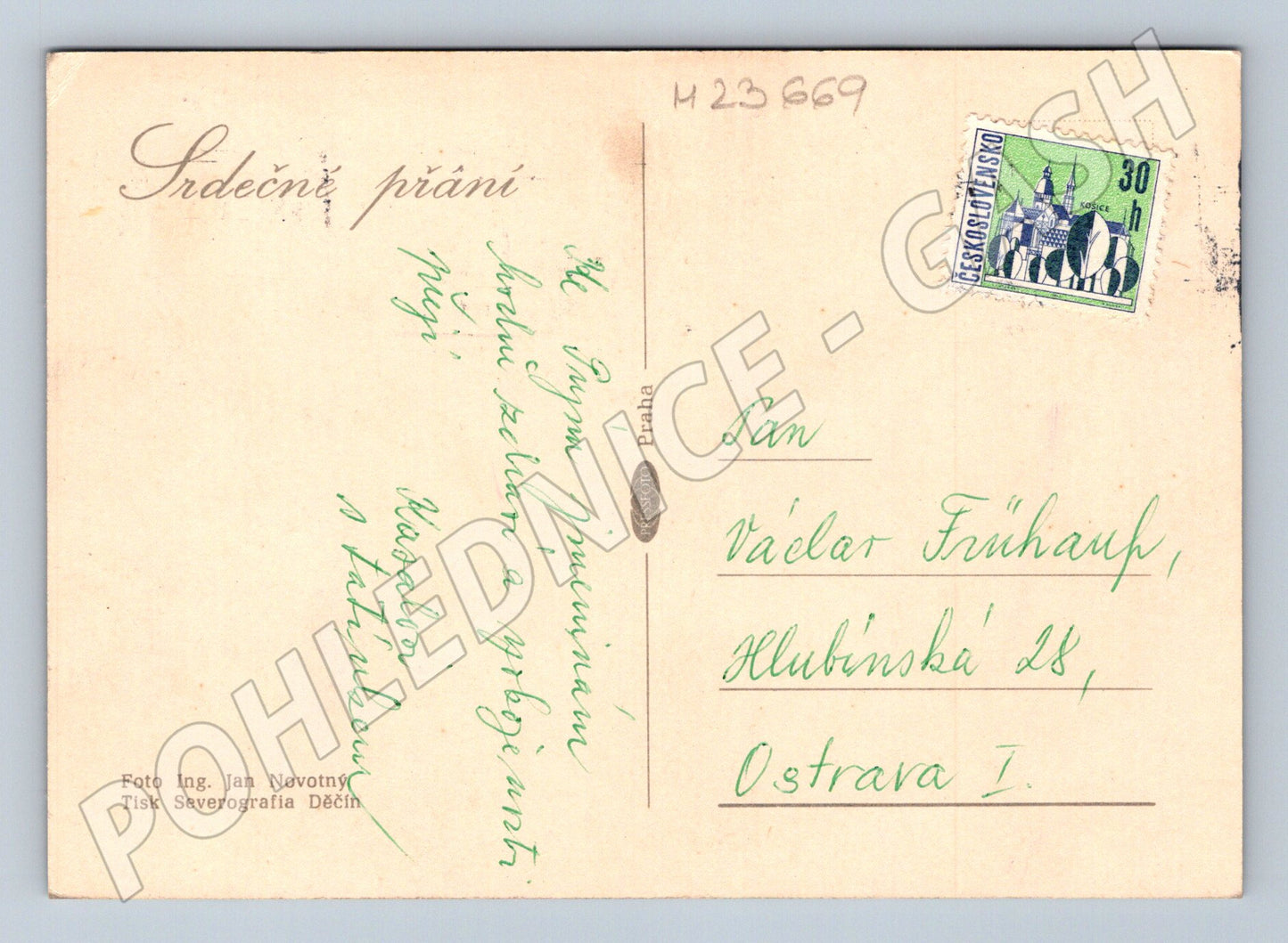 Pohlednice červené růže (M23669)