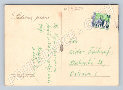 Pohlednice červené růže (M23669)