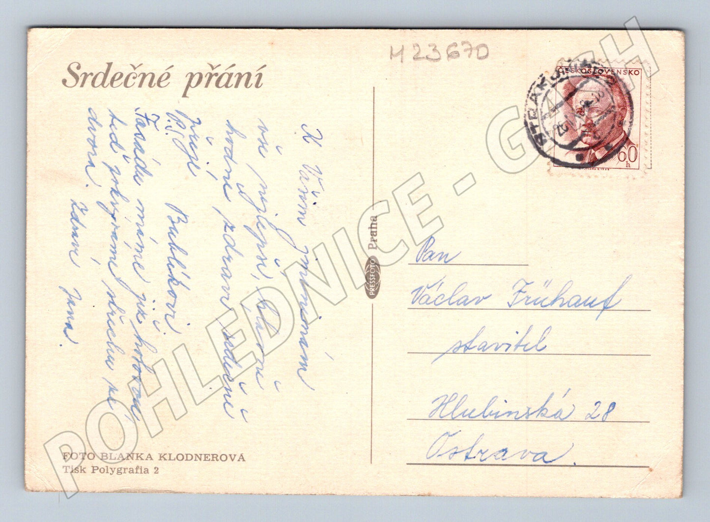 Pohlednice Květiny 1960 (M23670)