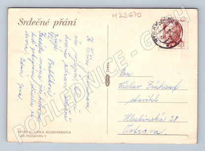 Pohlednice Květiny 1960 (M23670)
