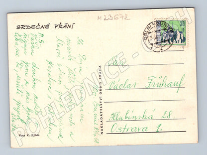 Pohlednice Slovensko Kytice aster a láhev vína 1968 (M23672)